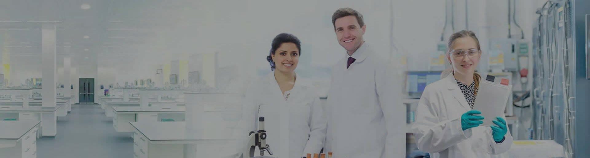 双层玻璃反应釜